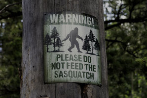 SOS: Sasquatch On-Site